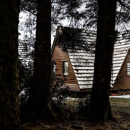 אינברגרי The Triangle Lodge מראה חיצוני תמונה